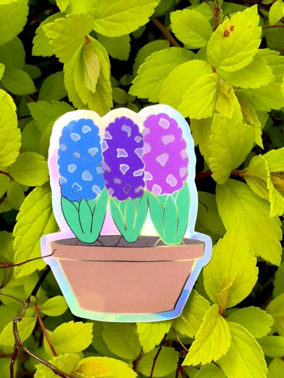 Pride Pots - Holographic Vinyl Stickers, Biacinths and Panemones